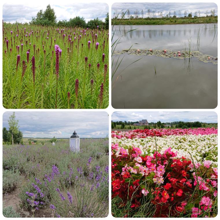 Коллаж из Добропарка