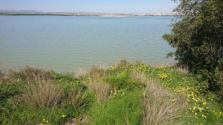 Озеро Алики