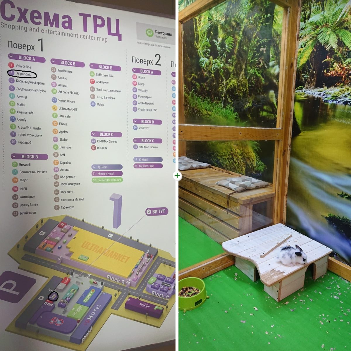 Карта ТРЦ Cosmo Multimall